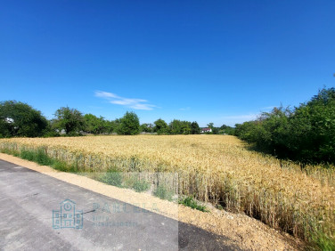 Działka rolna PŁAWNO