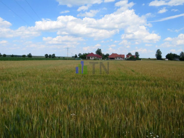 Działka budowlana Brzezinki