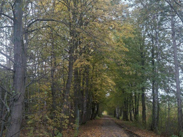 Działka Nowy Łajszczew