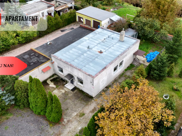 Lokal Szubin sprzedaż