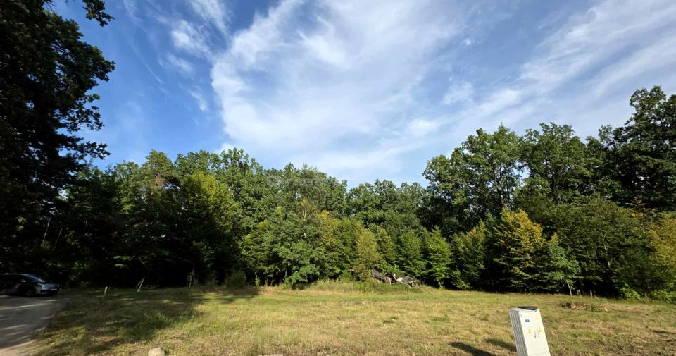 Działka przy lesie