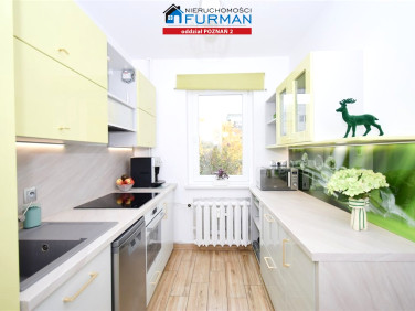 Mieszkanie blok mieszkalny wynajem