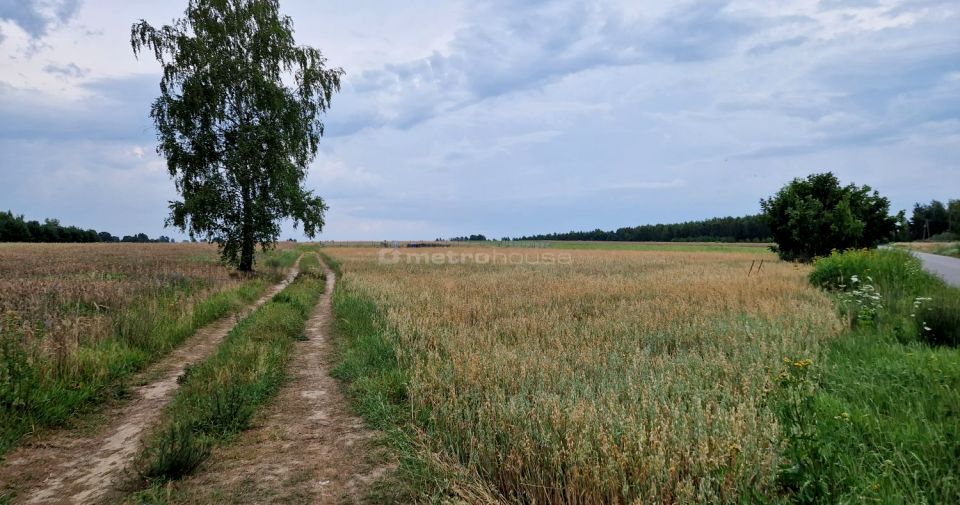 Zdjęcie 3