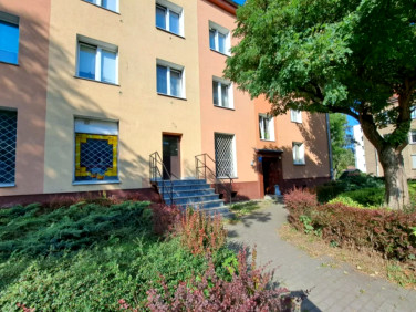 Lokal Dzierżoniów