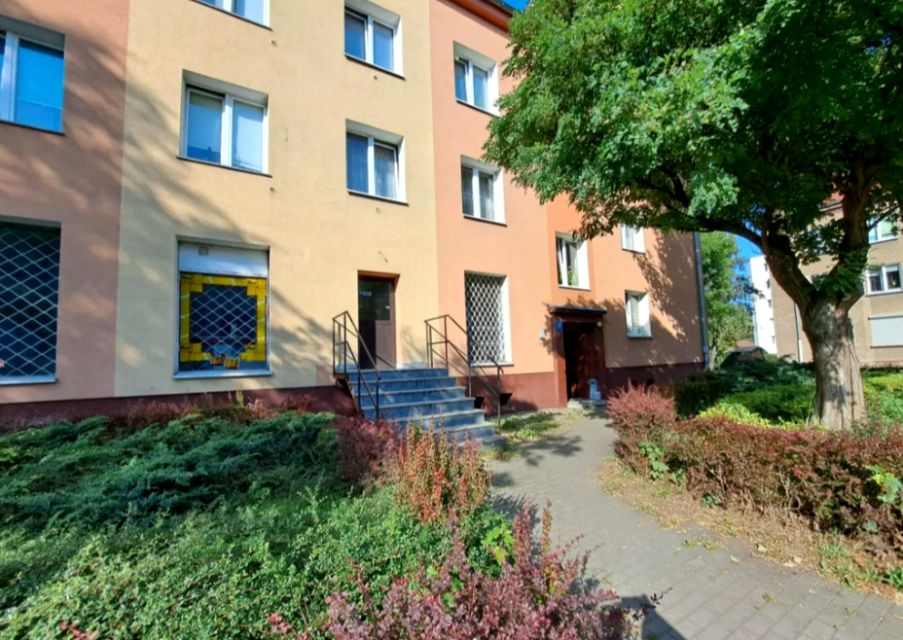 Lokal Dzierżoniów