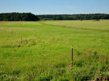 Działka budowlana Piaski Wielkie