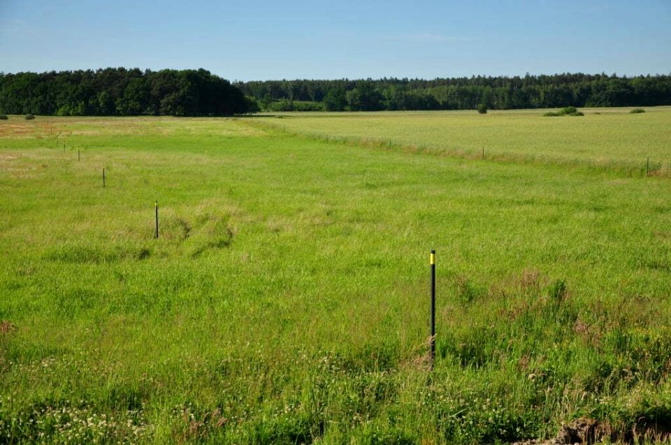 Działka budowlana Piaski Wielkie