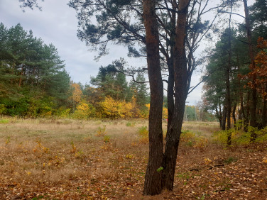 Działka budowlana Wiązowna