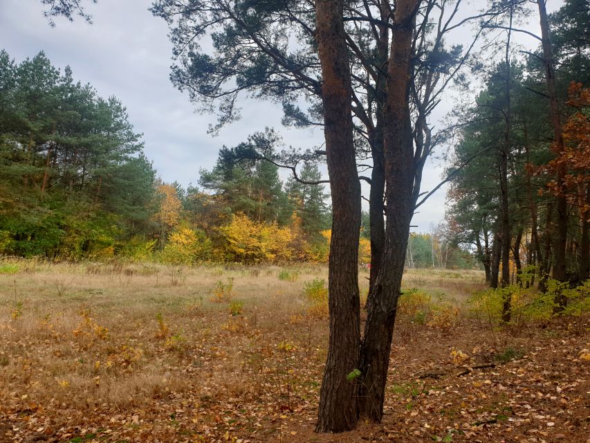 Działka budowlana Wiązowna