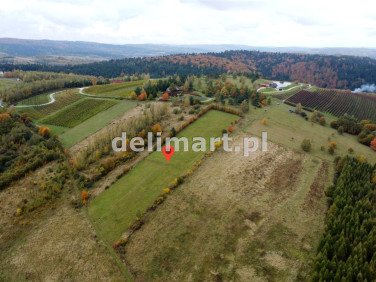 Działka inwestycyjna Witryłów