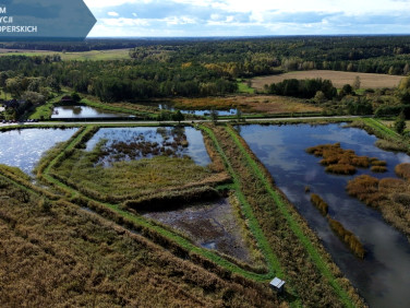 Działka Podemszczyzna