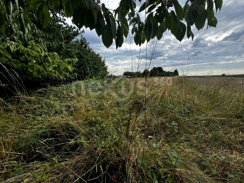 Działka SĄDROŻYCE