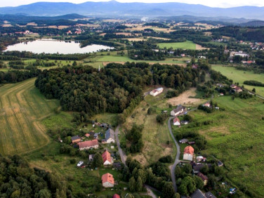 Działka budowlana Dąbrowica