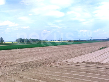 Działka Oleśnica