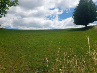Działka Rzeszów