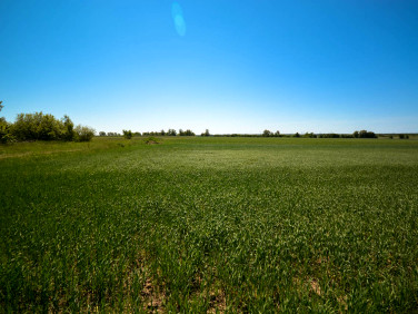 Działka Rzeszów