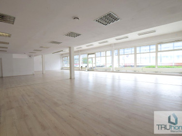 Lokal Katowice