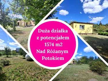 Dom Poznań