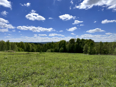 Działka inna Borówki