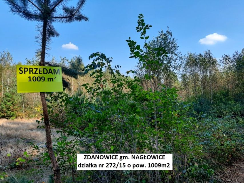 Działka Zdanowice