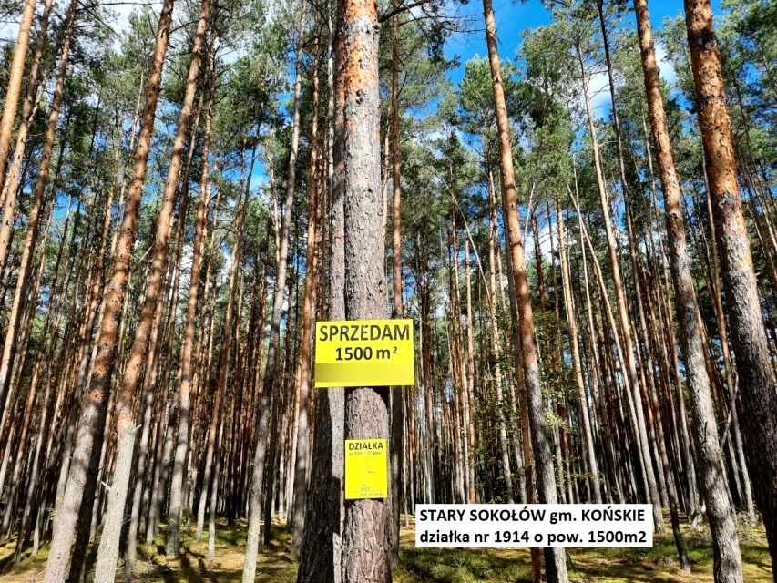 Działka Stary Sokołów