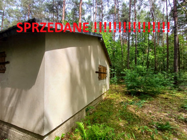 Działka Wilkowyja