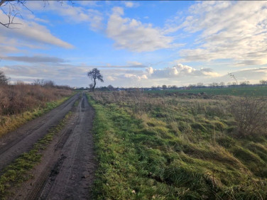 Działka rolna Snowidza