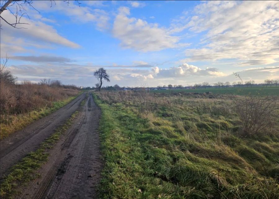 Działka rolna Snowidza