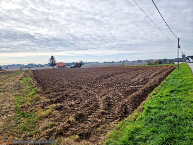 Działka siedliskowa Celiny