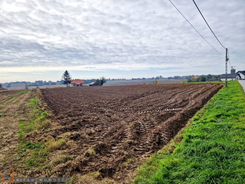 Działka siedliskowa Celiny