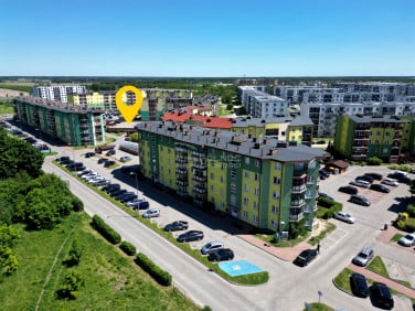 Lokal Biała Podlaska