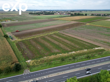 Działka Borowa