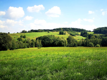Działka rolna Szymbark