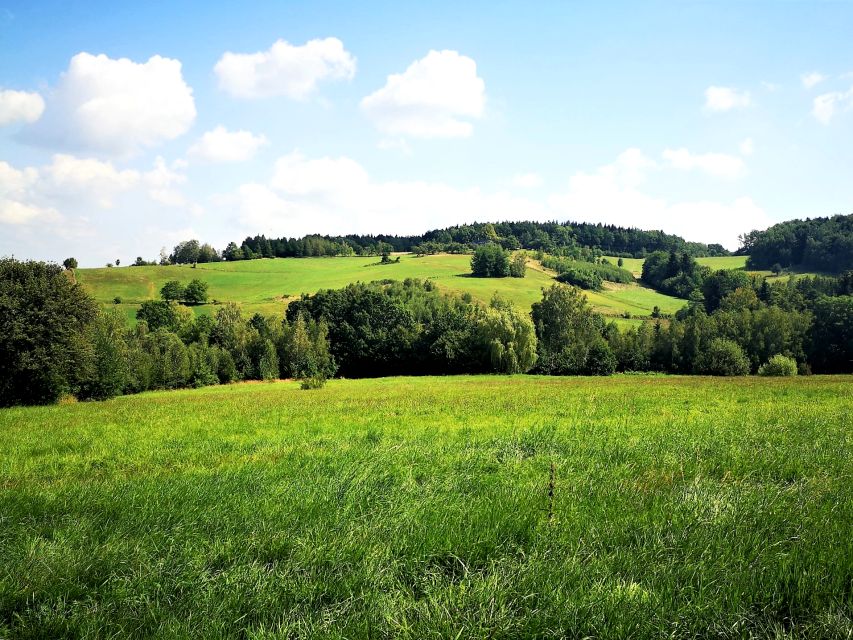 Działka rolna Szymbark
