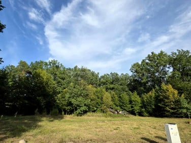 Działka przy lesie