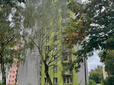 Mieszkanie Sosnowiec