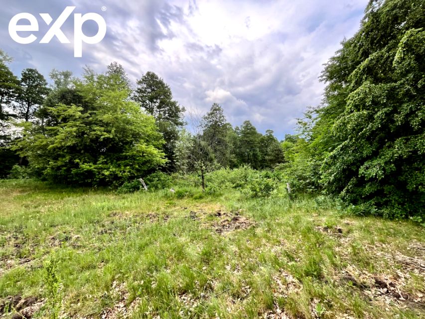 Działka rekreacyjna Arciechów sprzedam