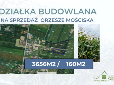 Działka Orzesze