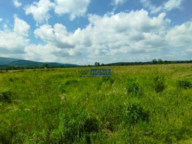 Działka Świeradów-Zdrój