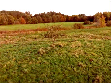 Działka inna Mierzyno