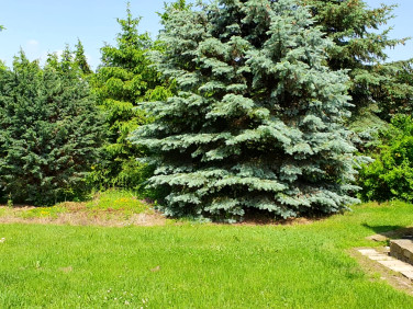 Działka budowlana Swoboda sprzedam