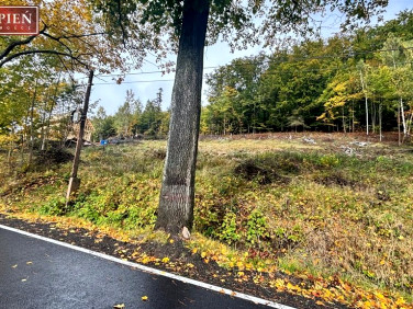 Pusta działka Jarkowice