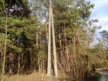 Działka leśna Radom