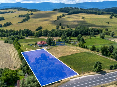 Działka inwestycyjna Siedlęcin