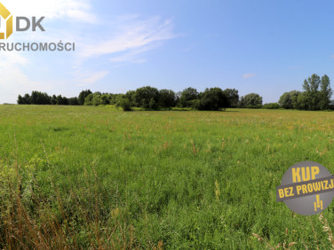 Działka Mokas