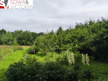 Działka budowlana Dziećmorowice sprzedam