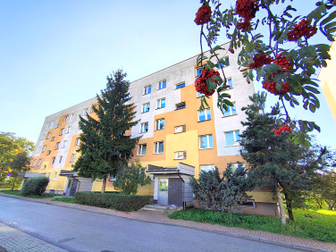 Mieszkanie Kielce