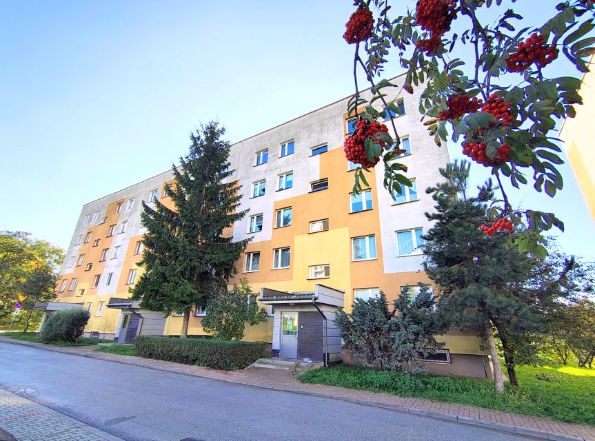 Mieszkanie Kielce