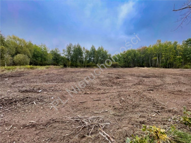 Działka budowlana Janinów sprzedam