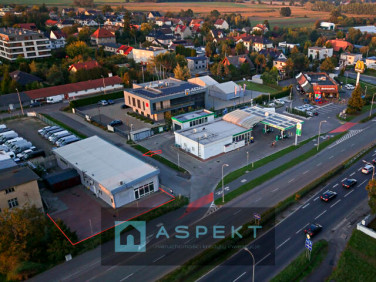 Lokal Opole